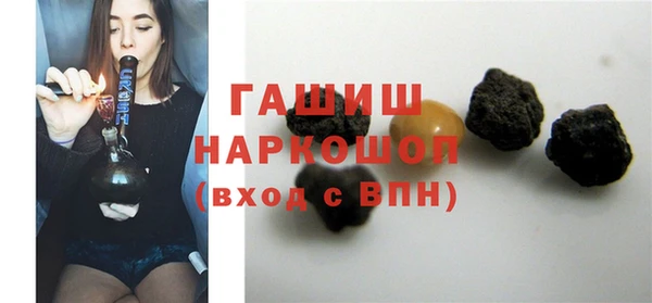 гашик Алексин