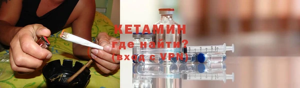 гашик Алексин