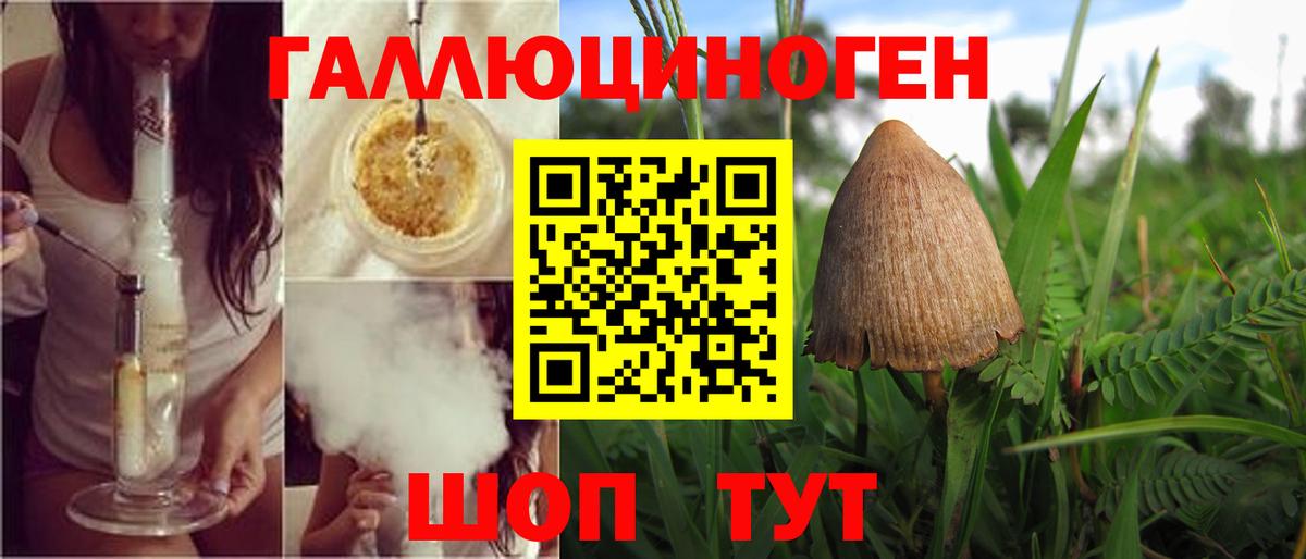 Галлюциногенные грибы прущие грибы  Вход с VPN  Ленинск-Кузнецкий  Галлюциногенные грибы MAGIC MUSHROOMS 