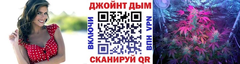 где купить   Ленинск-Кузнецкий  Канабис сатива 